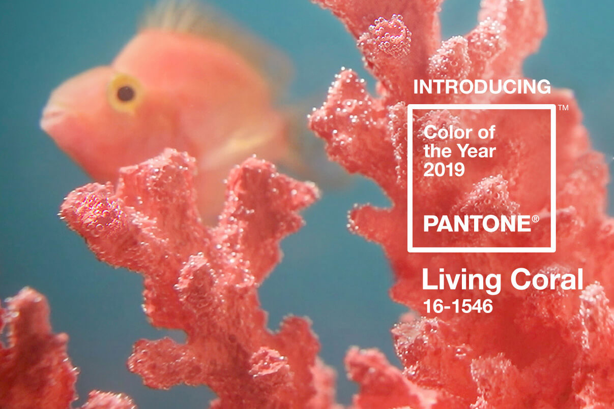 Read more about the article Pantone color of the year 2019. Living coral buttons for fashion designer!