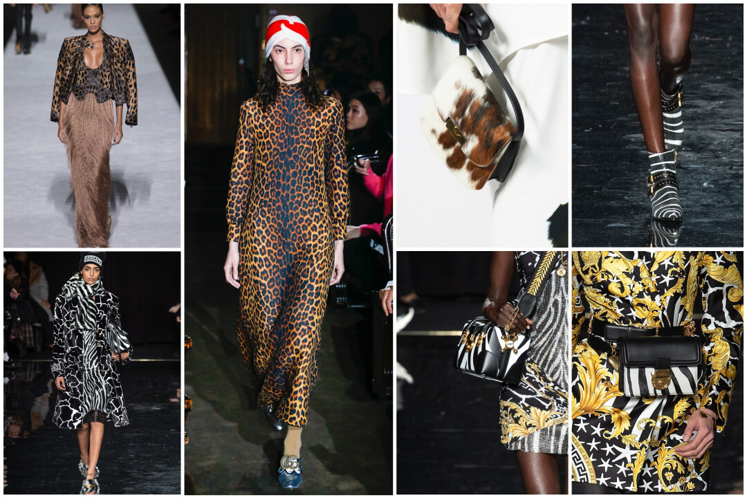 animal print fashion- runway