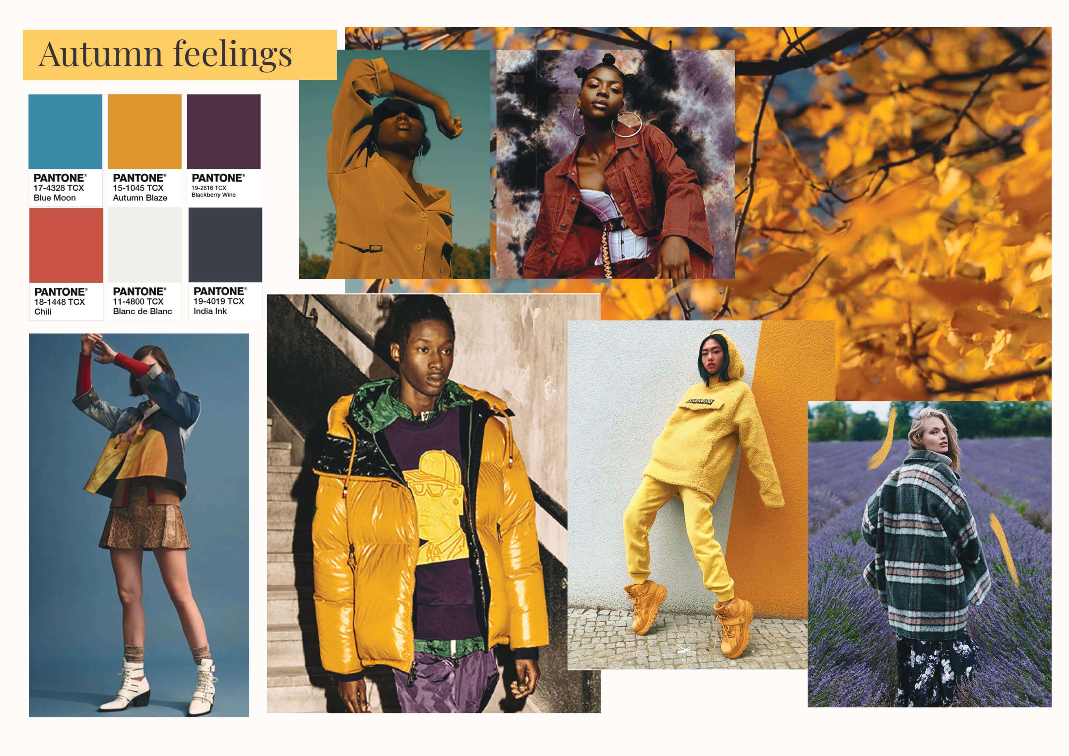 color trends for aw 2020-autumn feelings